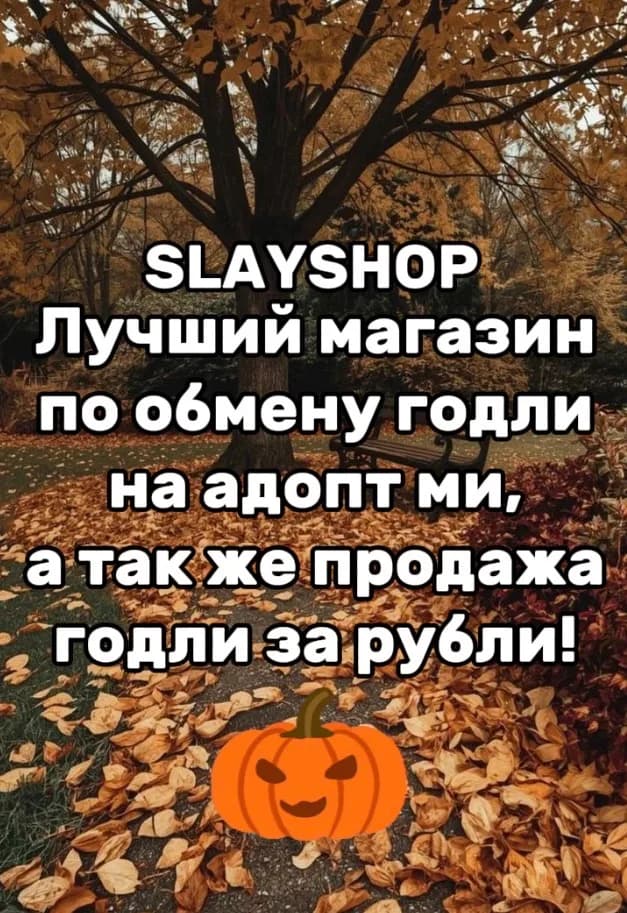 arina_shop