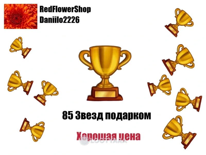 85 Звезд подарком