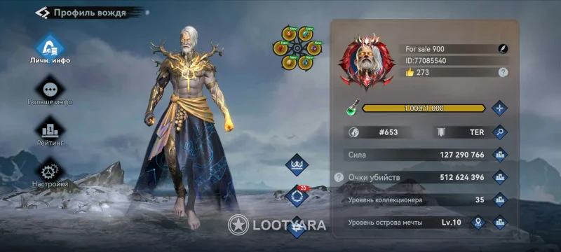 Аккаунт в Viking Rise