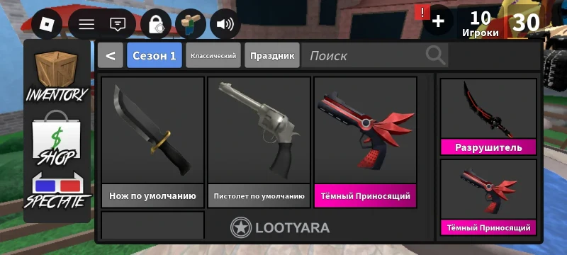 Kotik_5304