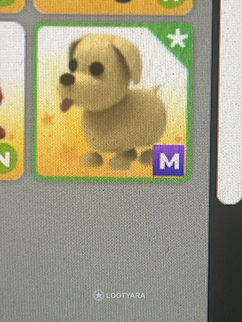 mega neon dog