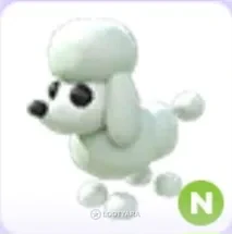 N Poodle / Н Пудель