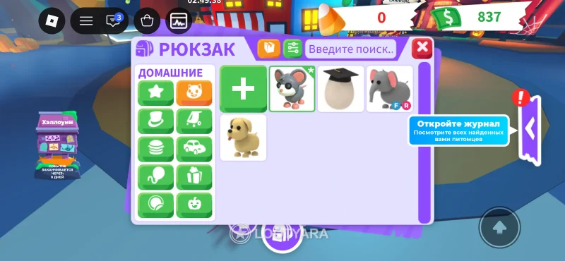 Elephant