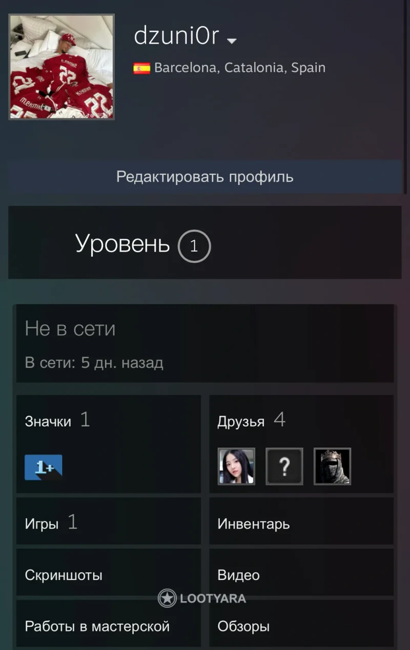 CS 2 Prime 10 часов