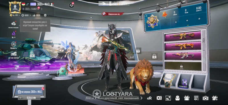 Lvl74